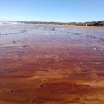 playa la paloma